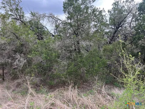 800 Fox Road