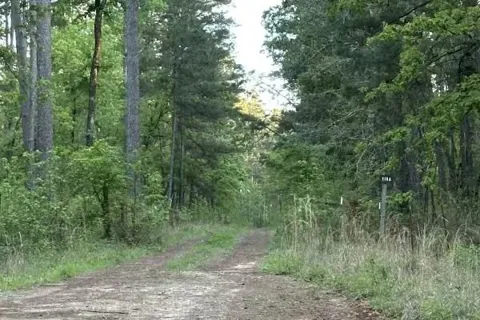 2686 Cr 321 Road