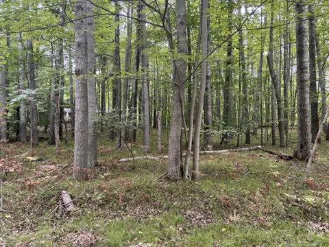 8228 Tanglewood Trail