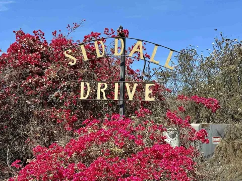 1656 Siddall Drive