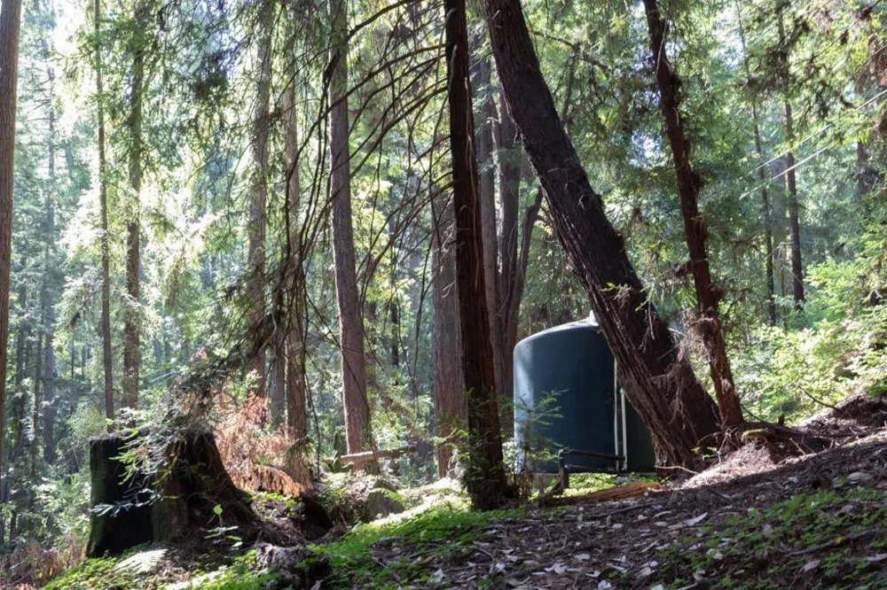 355 Waldeberg Road Ben Lomond, CA 95005