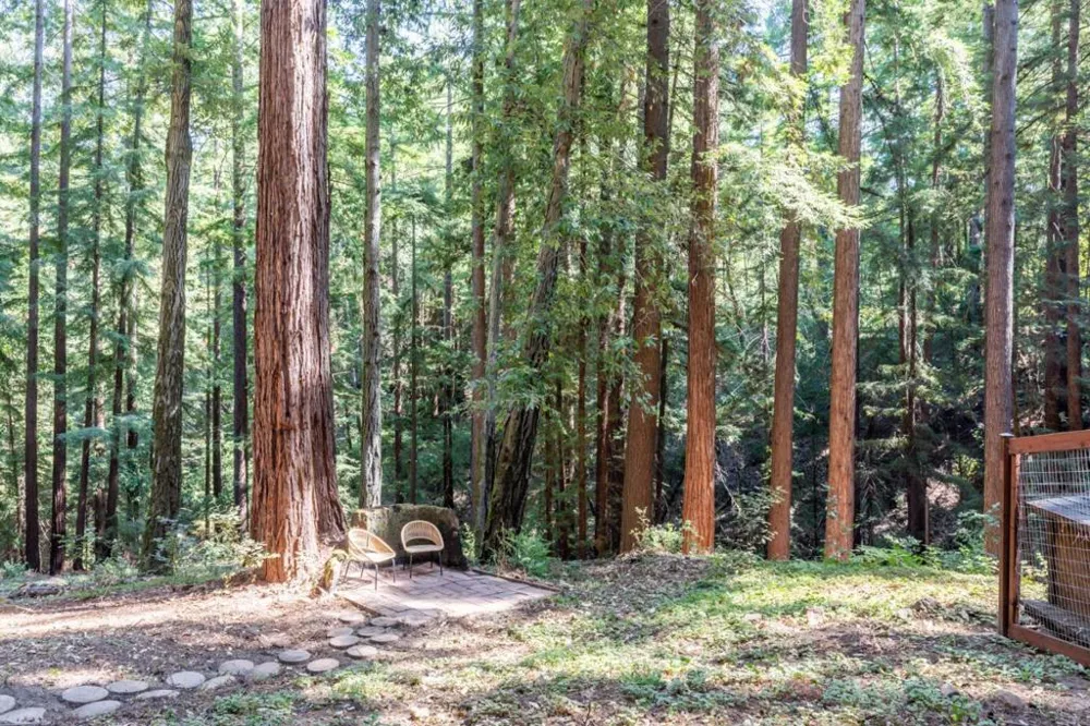355 Waldeberg Road Ben Lomond, CA 95005