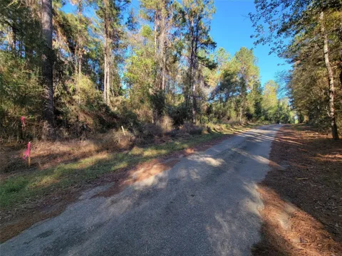 County Road 2125