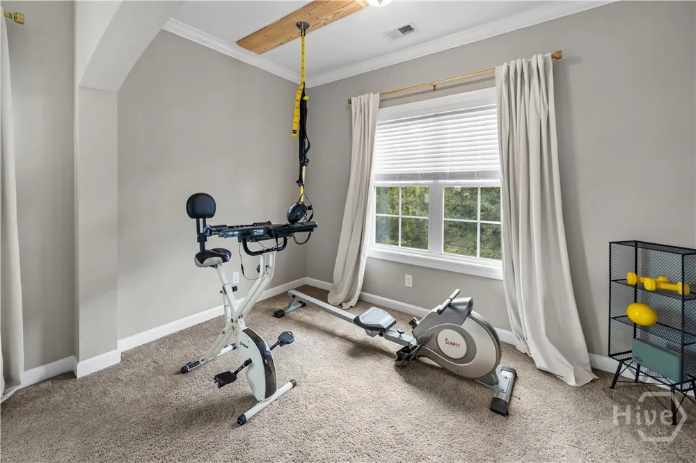 1733 Branden Way Richmond Hill, GA 31324