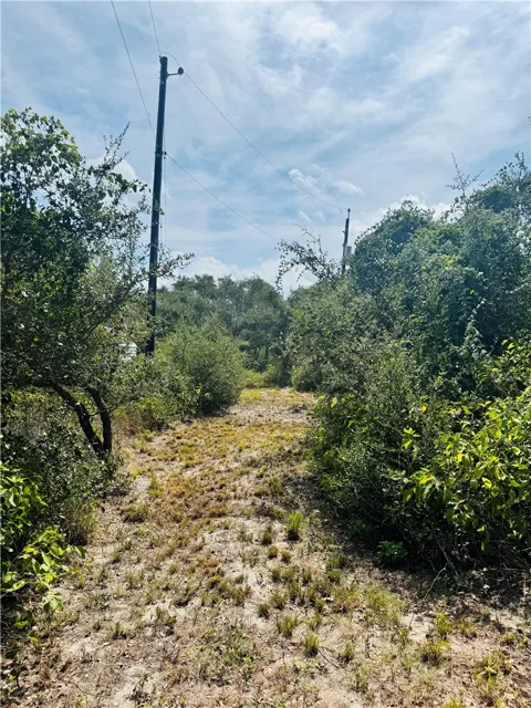 Ebert (off Deberry) Avenue