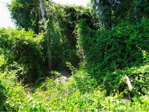 Ridgefield Road