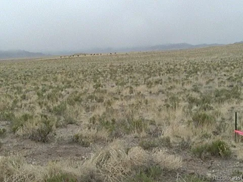 ARRIBA ROAD