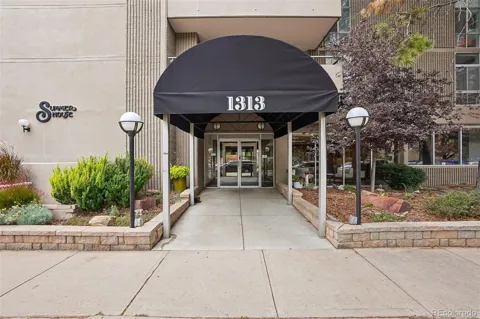 1313 Williams Street #405