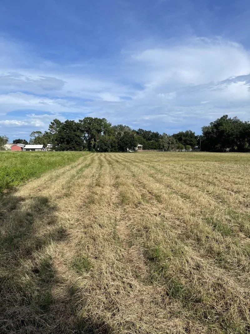 HOLLOWAY ROAD Plant City, FL 33567