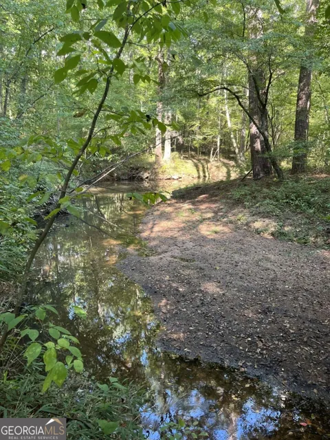 46 Creek RDG