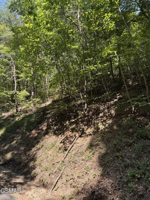 0 Progress Hill Boulevard