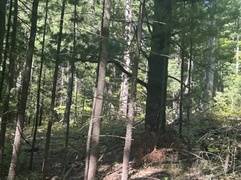 9 Mile Road