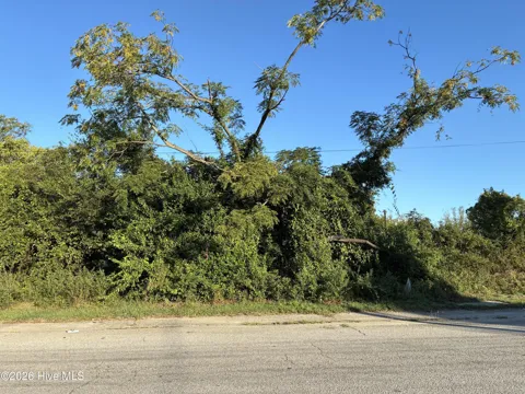 1737 Old Savannah Road