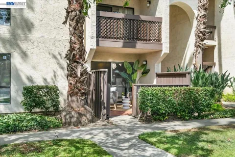 39843 Cedar Blvd #118