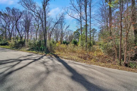 10884 Champion Village Drive