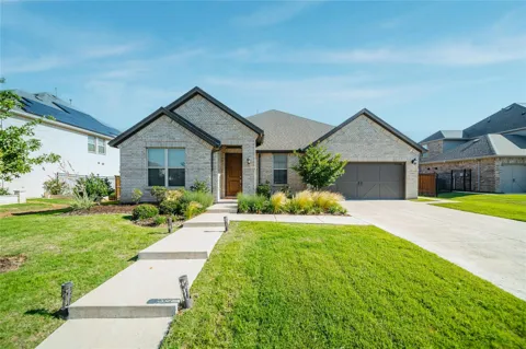 2568 Buckwheat