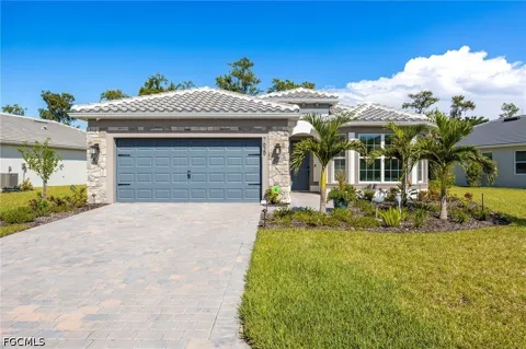 Paradise Tree Drive