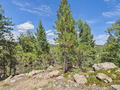 Turkey Creek Road