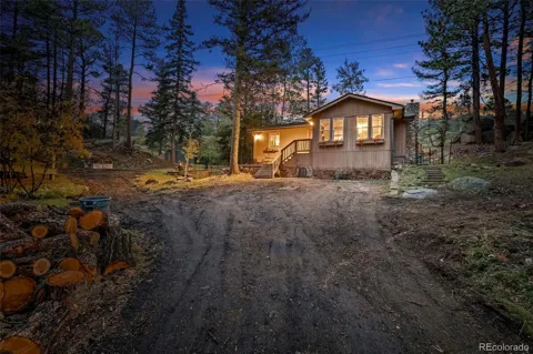 27131 Log Trail