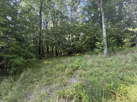 0 Willow Hollow Rd