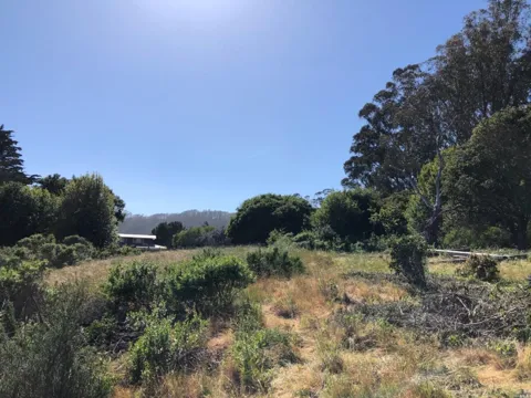 Alta Way