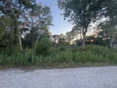 20310 Spruce Forest