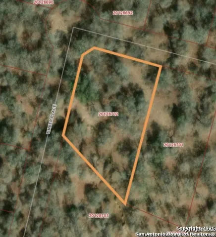 216 Timber Place