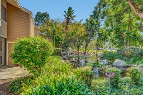 247 Pineview