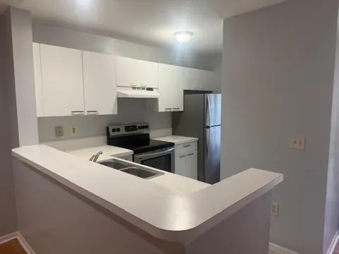 4807 Via Palm Lakes #1514