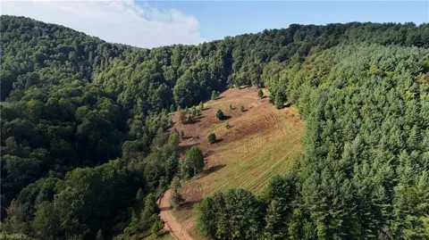 00 Lot 105 Irwin Grocery Road