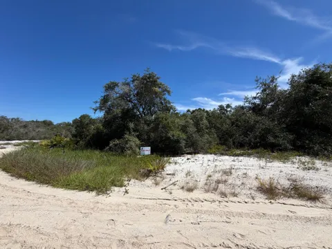 229 RHYTHM DRIVE