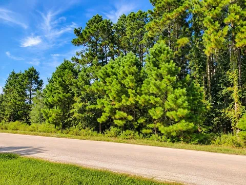 1307 County Road 3479j