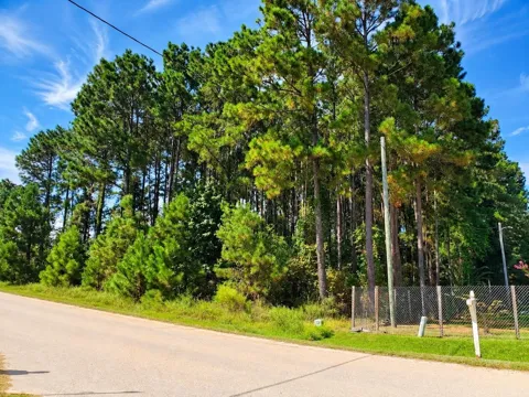 1319 County Road 3479j