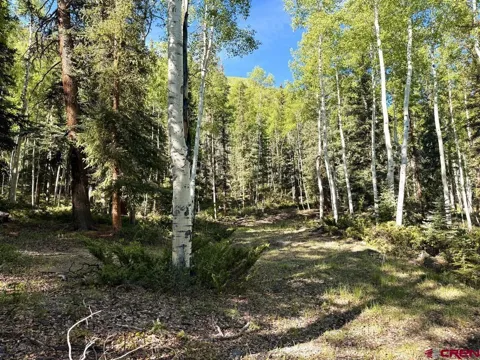 20 Alpine Vista Way