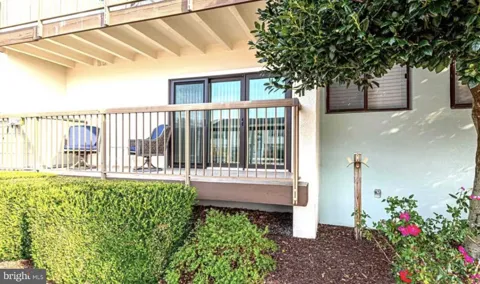 13908 OCEAN ROAD #1B