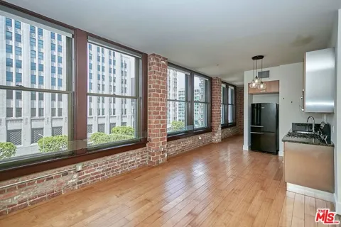 460 S Spring Street #501