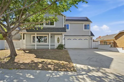 42911 Lemonwood