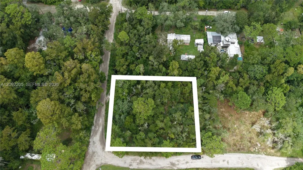 Cardel Street New Port Richey, FL 34654