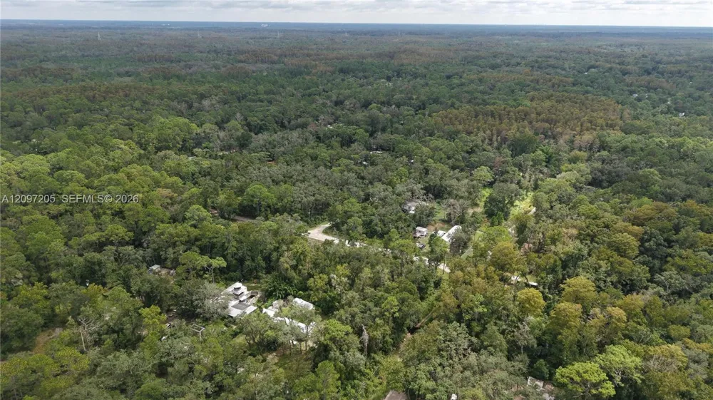 Cardel Street New Port Richey, FL 34654