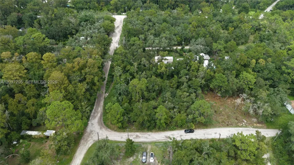 Cardel Street New Port Richey, FL 34654