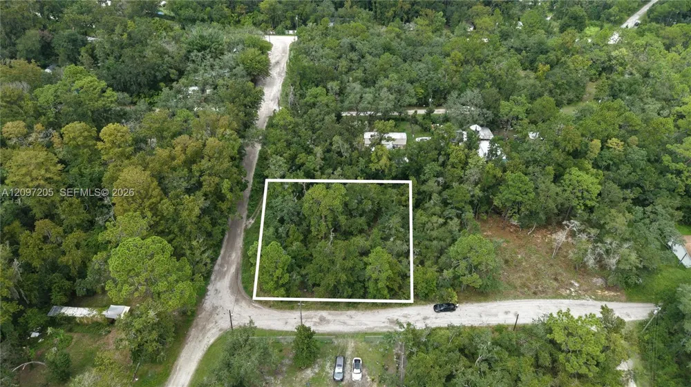 Cardel Street New Port Richey, FL 34654