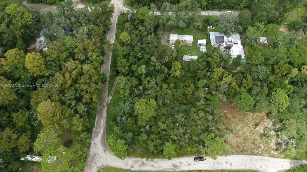 Cardel Street New Port Richey, FL 34654