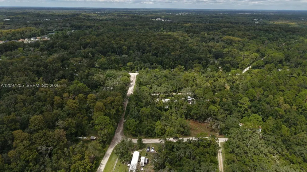 Cardel Street New Port Richey, FL 34654