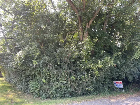 McArthur Road