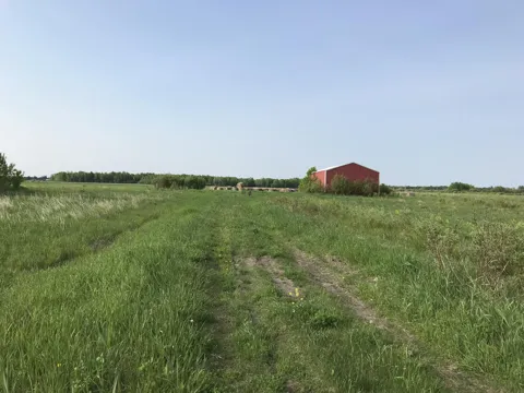 E 7 Mile Road