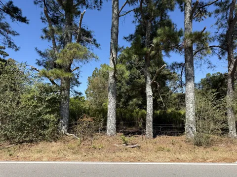 0 Old Florence Pulaski Rd