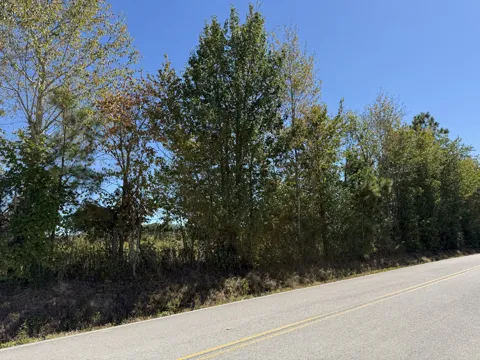 0 Old Florence Pulaski Rd