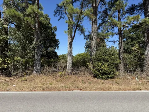 0 Old Florence Pulaski Rd