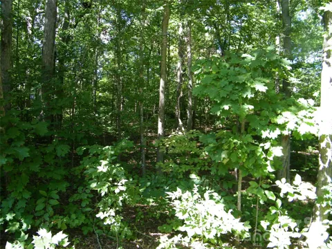 0 Chippewa Trail