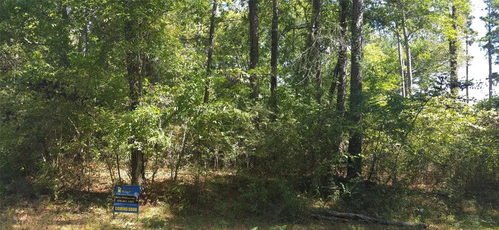 Cove Dr Point Blank, TX 77364